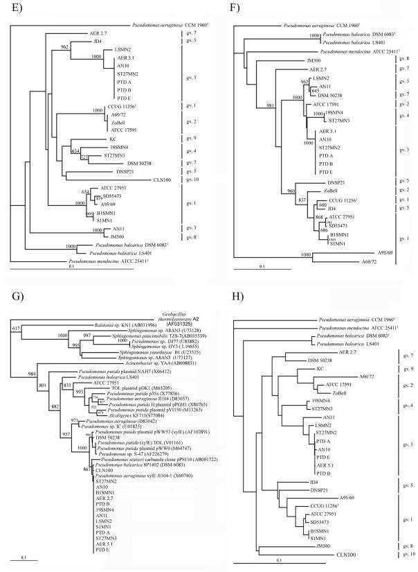 FIG. 2.