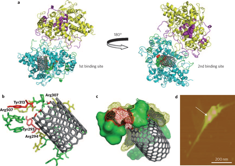 Figure 2 |