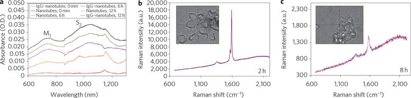 Figure 4 |