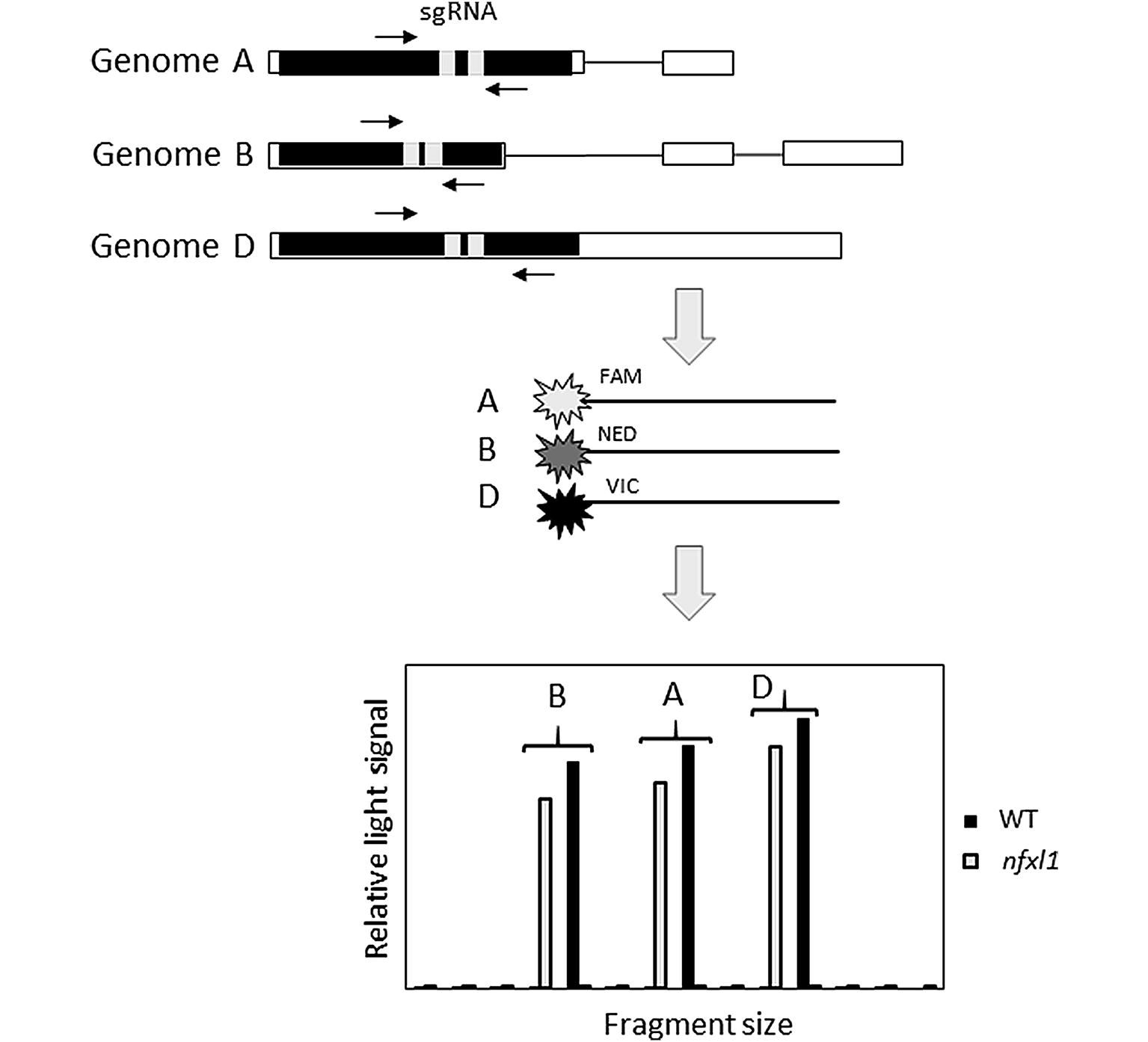 Fig. 2