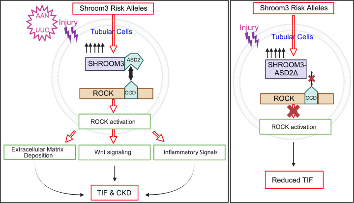 Figure 6: