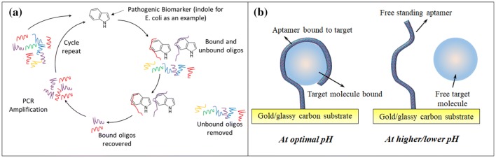 Fig. 6