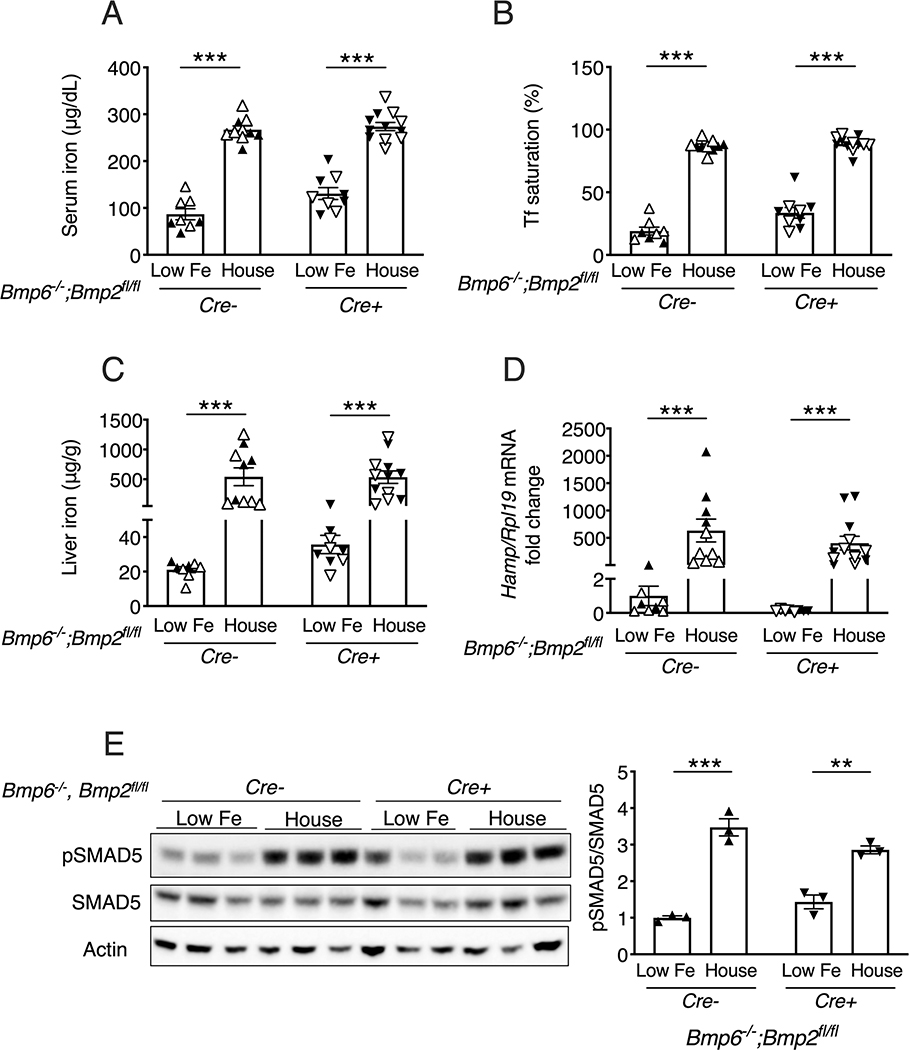 Figure 3: