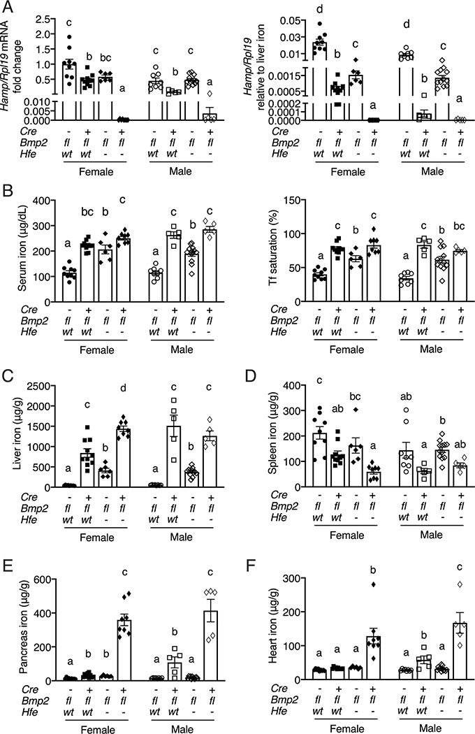 Figure 4: