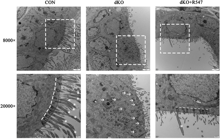 Fig. 7.