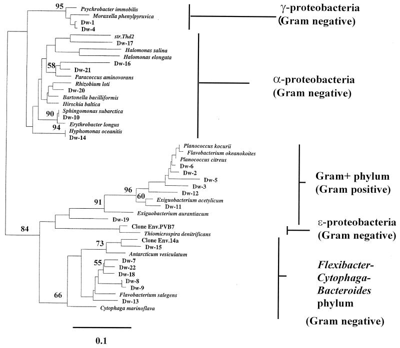 FIG. 7