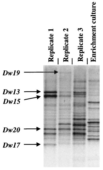 FIG. 8