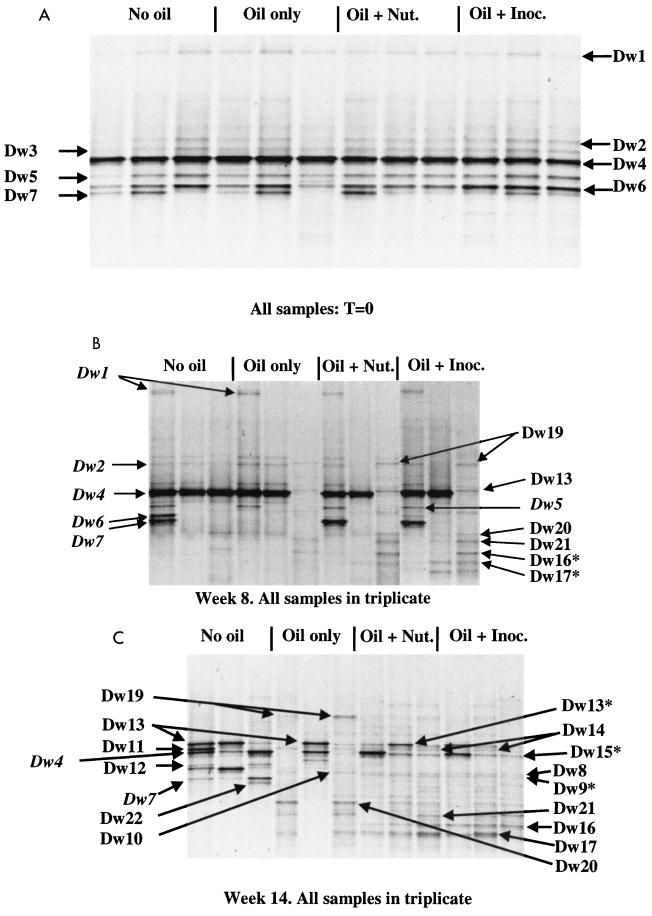 FIG. 6