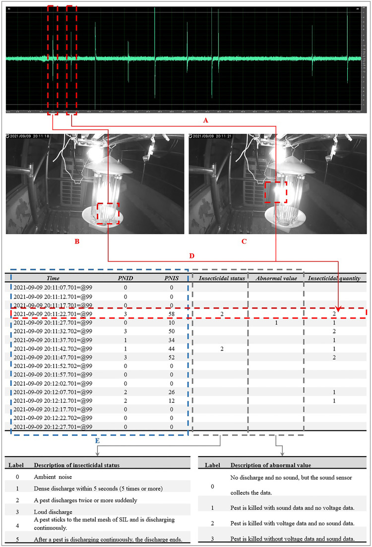 Figure 2