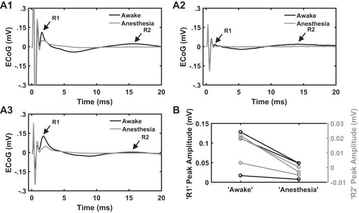 Fig. 10.