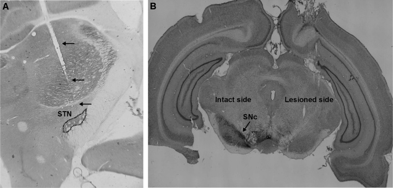 Fig. A1.