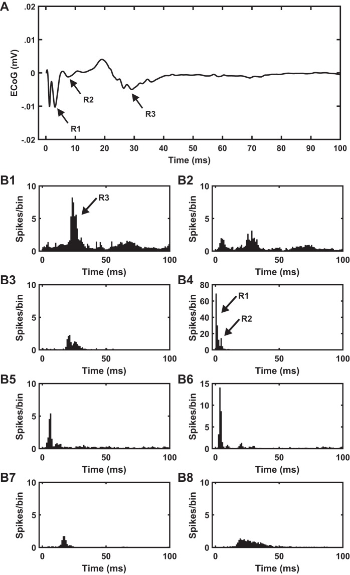 Fig. 12.