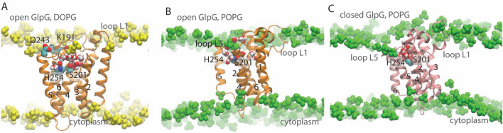 Fig. 1