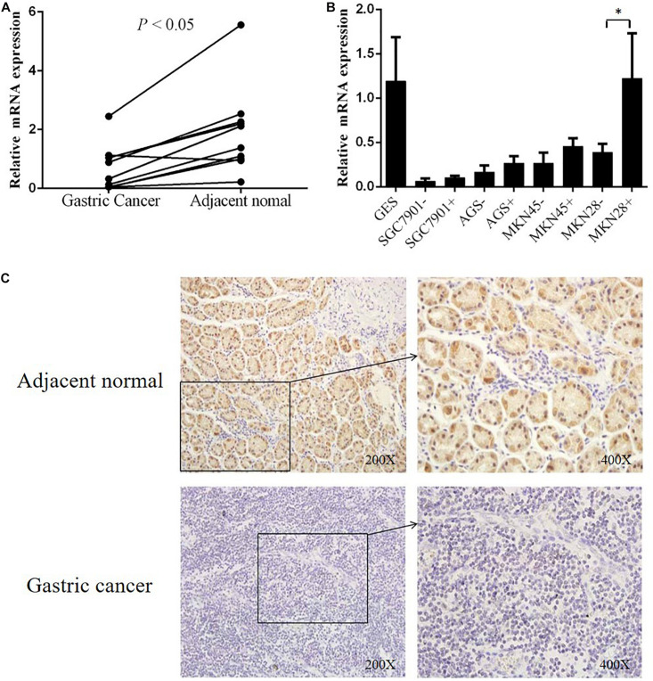 FIGURE 3