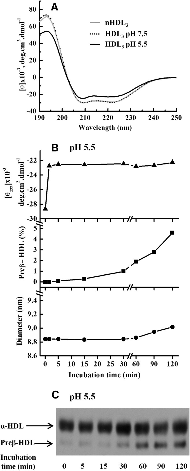 Fig. 3.