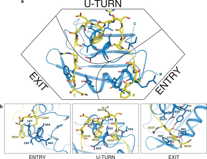 FIGURE 7.