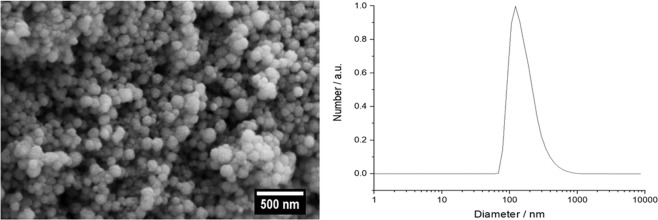 Fig. 11