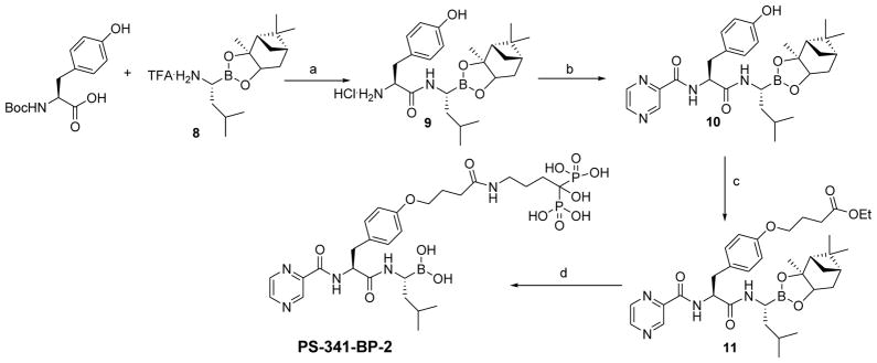 Scheme 2