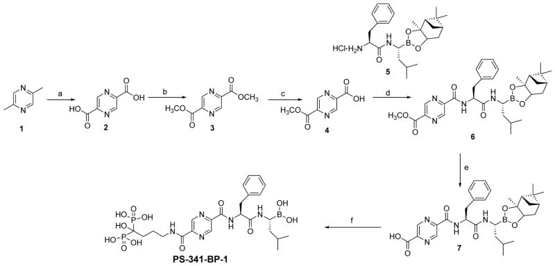 Scheme 1