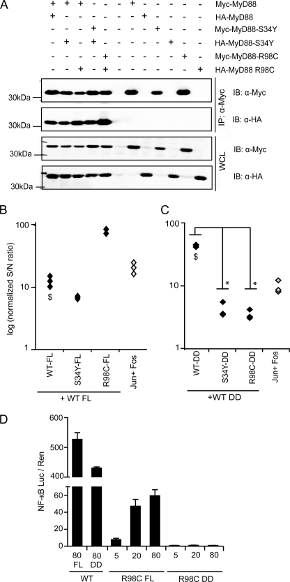 FIGURE 4.