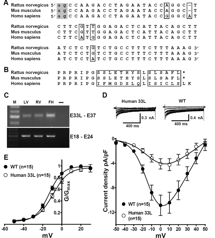 FIGURE 10.