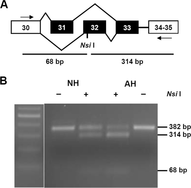 FIGURE 1.