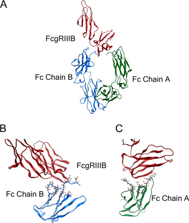 FIGURE 1.