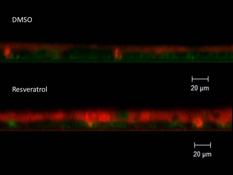 Figure 10