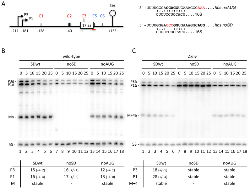 Figure 6.