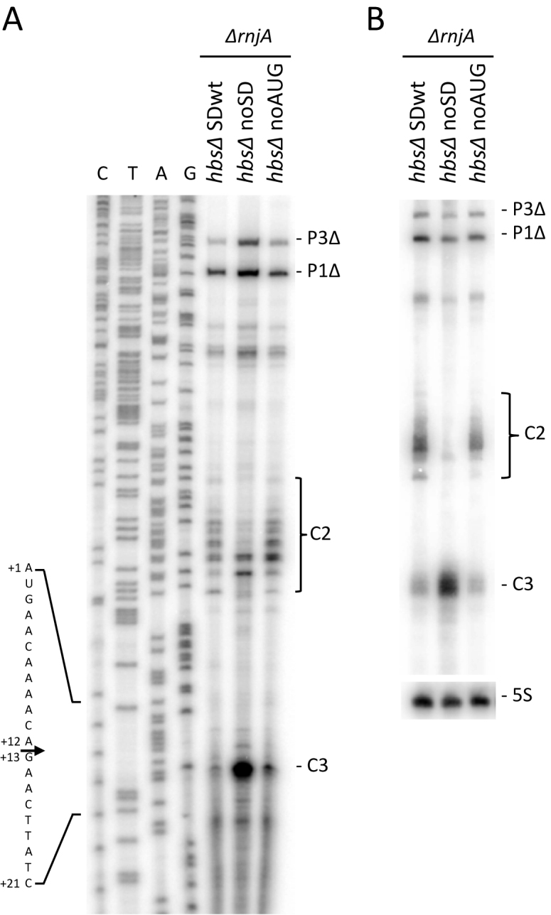 Figure 7.