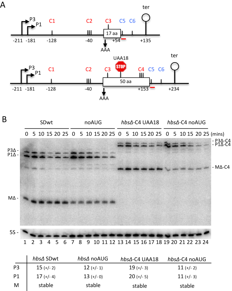 Figure 5.