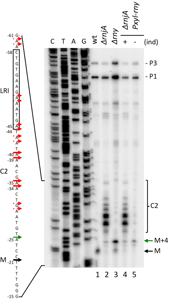 Figure 2.