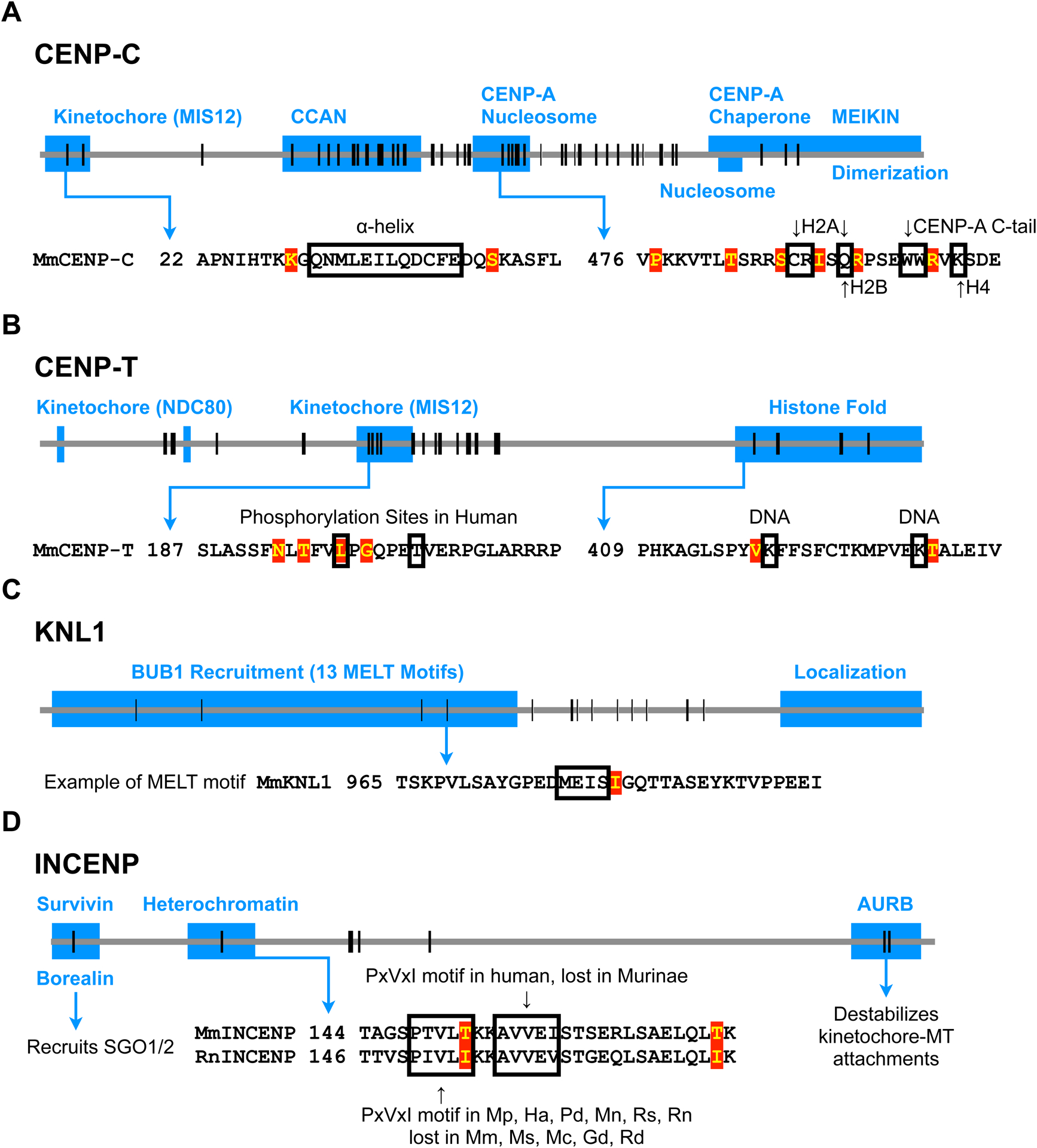 Figure 5: