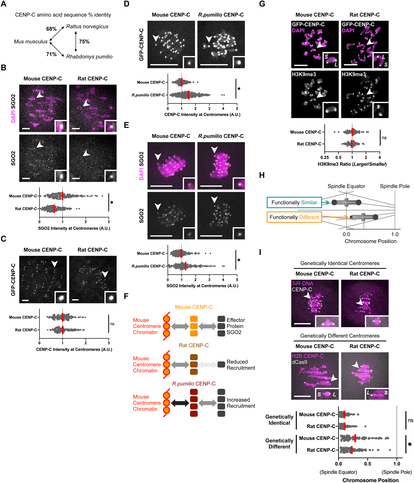 Figure 2: