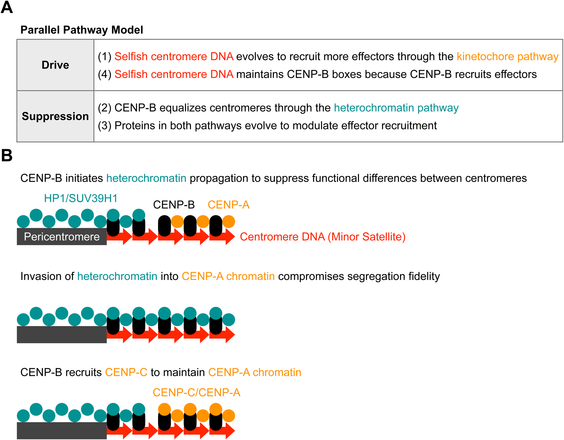 Figure 6: