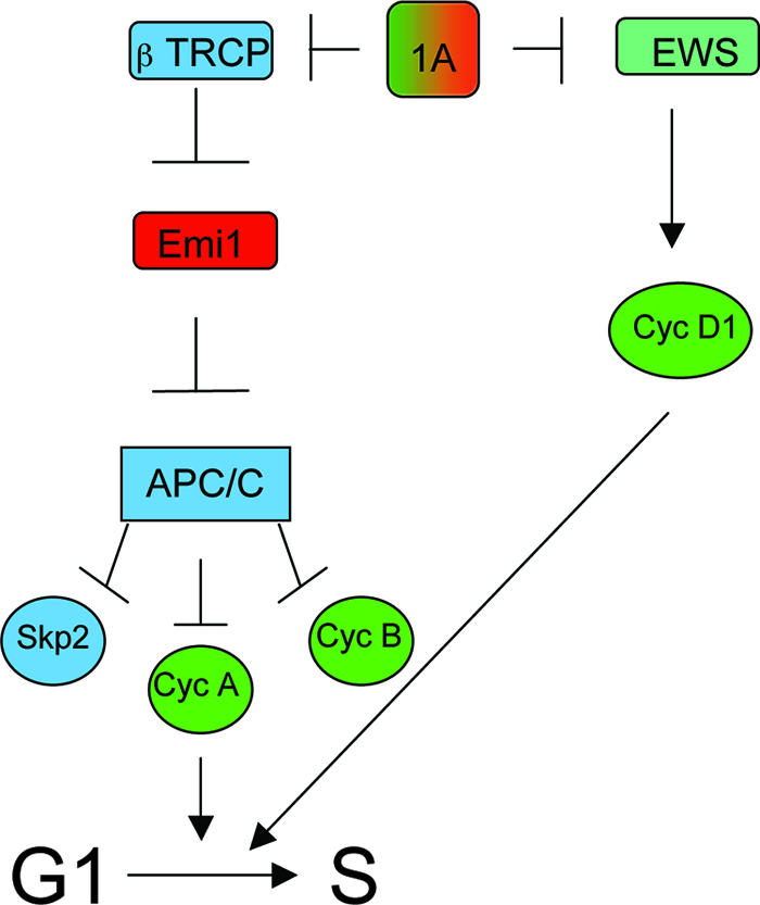 FIG. 7.