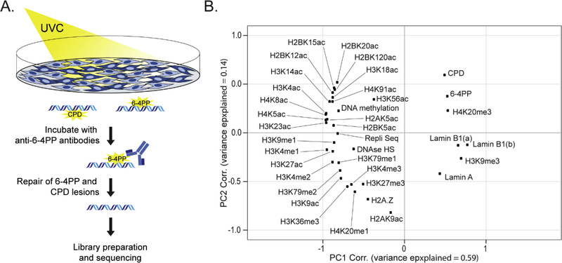 Fig 1: