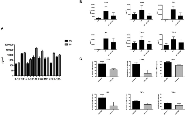 Figure 6