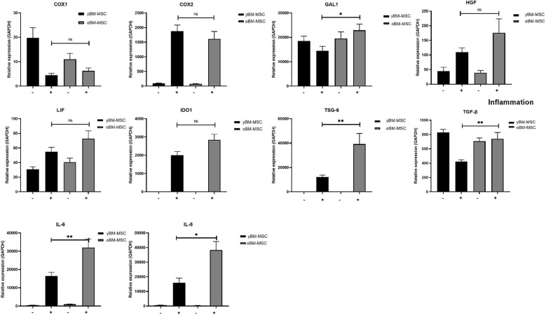 Figure 5