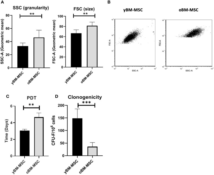 Figure 3