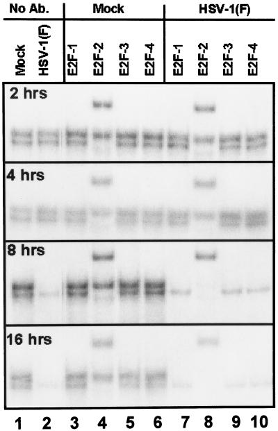 FIG. 11