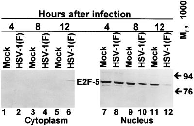 FIG. 8