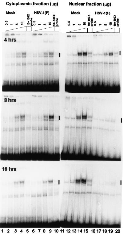 FIG. 10