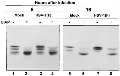 FIG. 9