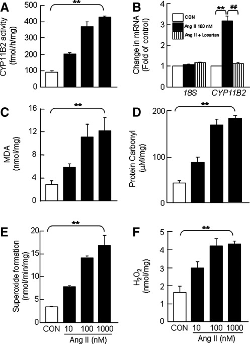 FIG. 9.