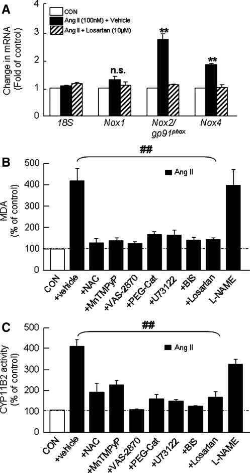 FIG. 10.