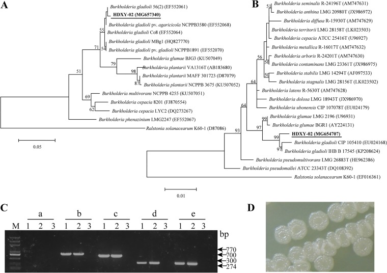 FIG 2