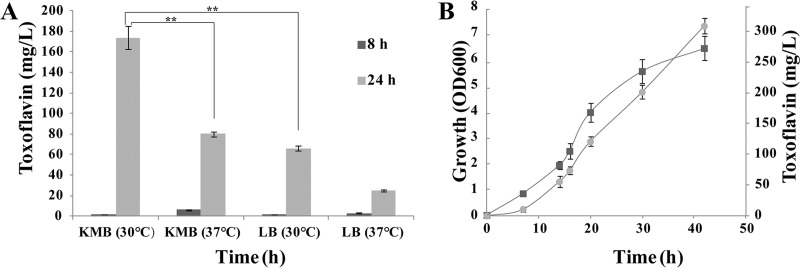 FIG 5