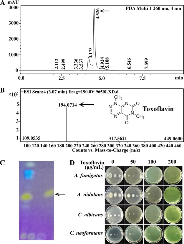 FIG 3