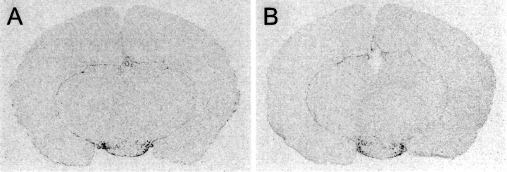 Fig. 11.